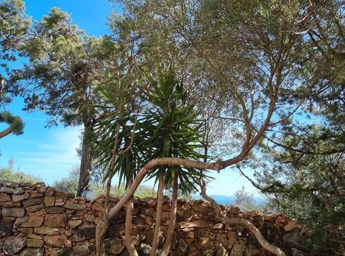 Casabellavista *